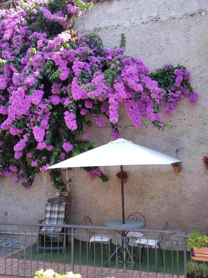 Il Giardino Di Laura Appartement Toscolano Maderno Buitenkant foto
